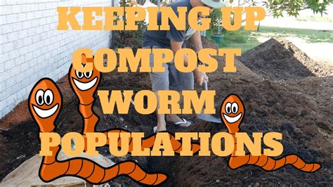 Check spelling or type a new query. Keeping Up Compost Worm Populations (Make a Baby EXPLOSION ...
