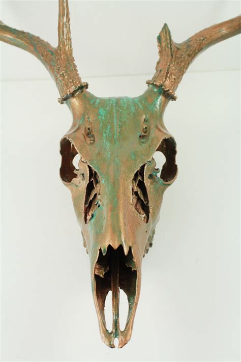 Deer Skull Taxidermy With Antlers Copper Natural Aqua Patina Etsy