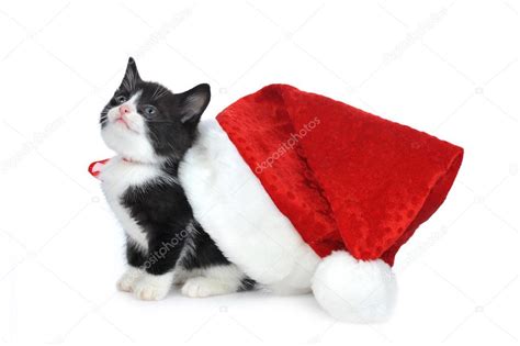 Cute Kitten With Santas Hat — Stock Photo © Taden1 2651774