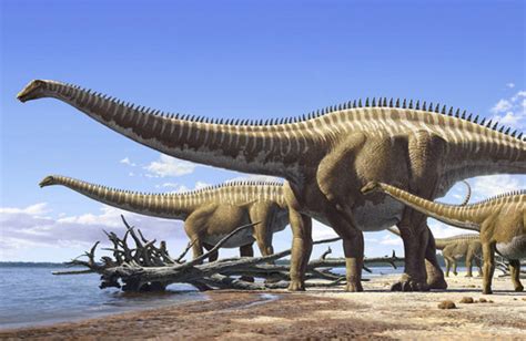 Diplodocus had a long neck that it would have used to reach high and low vegetation, and to in 1905 a cast of a diplodocus skeleton was donated to the museum by the wealthy businessman andrew. Diplodocus - Dinopedia - the free dinosaur encyclopedia