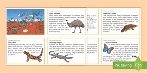 Amazing Australian Animal Fact Cards