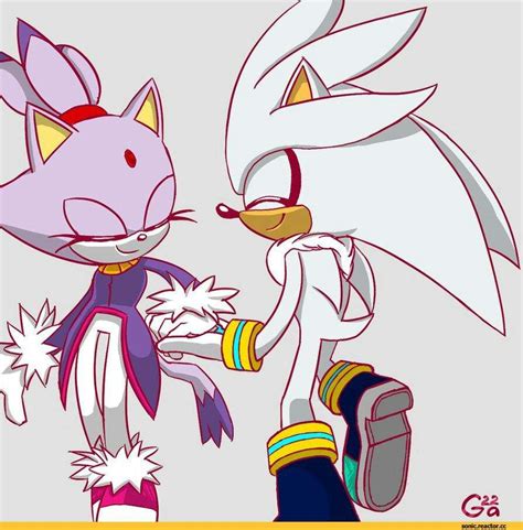 Silver X Blaze Sonic The Hedgehog Amino