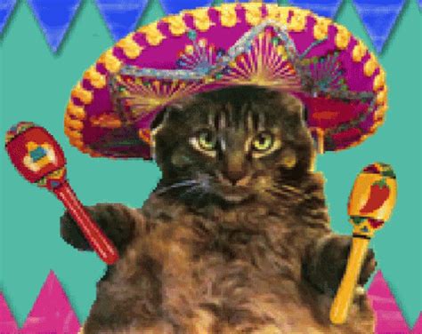 Are you interested in mexican cultures and foods? The popular Mexican Food GIFs everyone's sharing