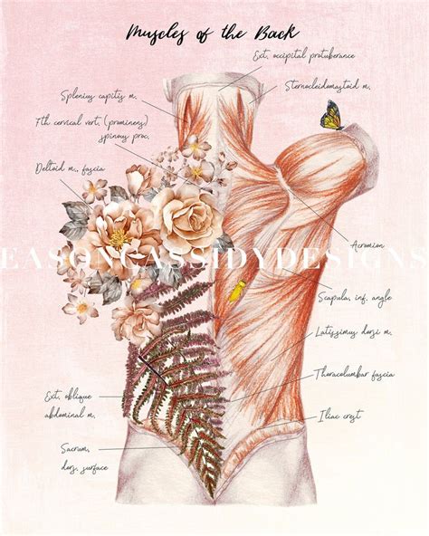 T For Massage Therapist Floral Anatomy Massage Room Art Etsy Massage Therapy Quotes