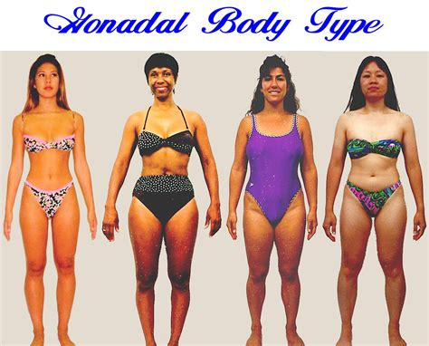 women s body type test the body type diet for women the 25 body types