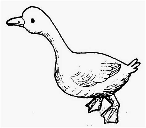 Gambar Bebek Hitam Putih Untuk Diwarnai
