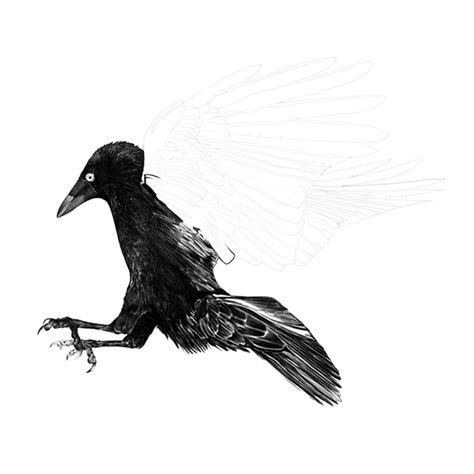 Sex Crow On Behance