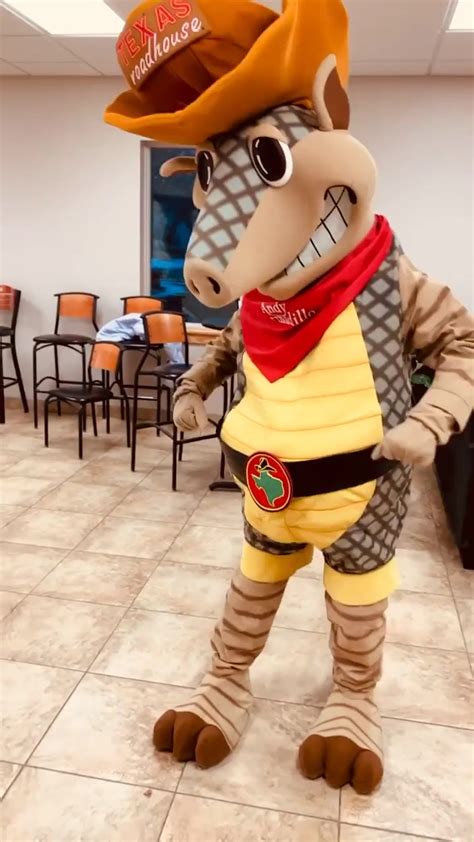 T Andy Armadillo Is Ready For The Weekend What About You By