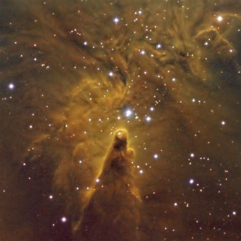 Bill Snyder Astrophotography Ngc2264 Cone Nebula