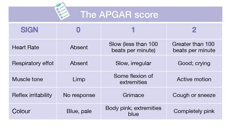 Apgar Score Of 7 Monstersgilit