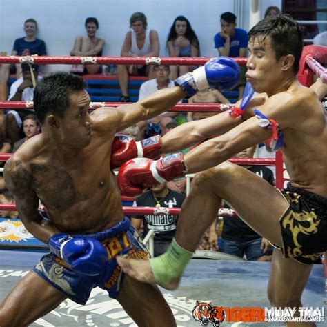 fighting thai tiger muay thai and mma training camp guest fights july 19 2013