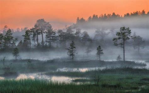 Nature Landscape Russia Forest Mist Trees Sunset Night Arctic