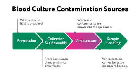 Crystal Canter On Linkedin Common Blood Culture Contamination Sources