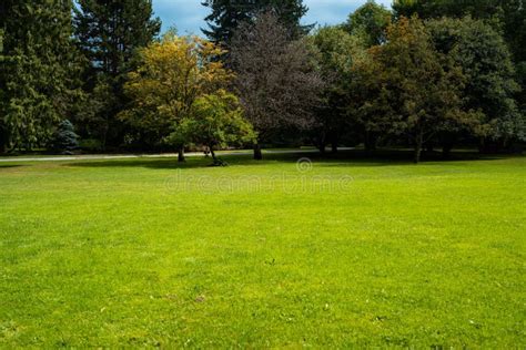 Beautiful Trees And Green Grass In The Garden Stock Image Image Of