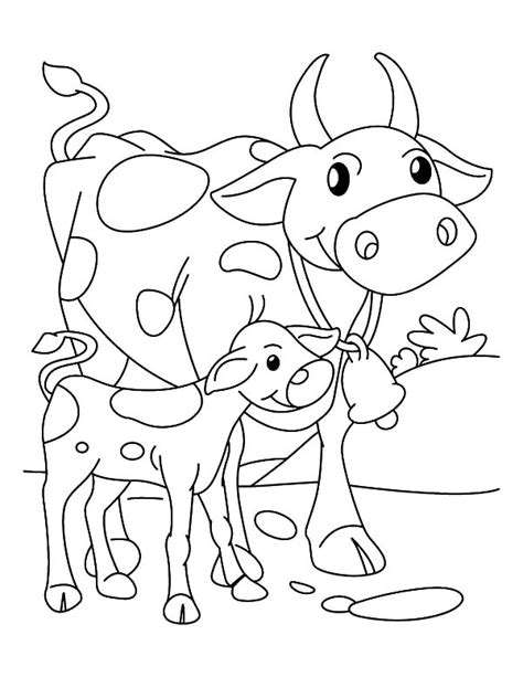 Cows Walking Beside Her Calf Coloring Pages Kids Play Color