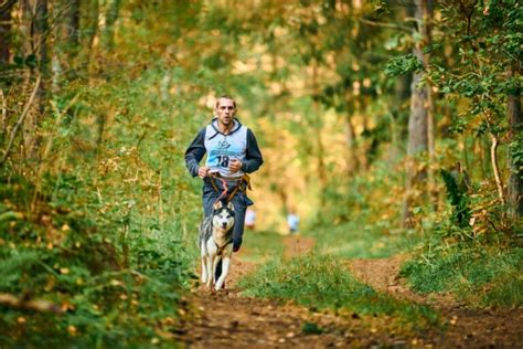 Are There Dog Friendly Marathons Everything You Need To Know Borgess Run