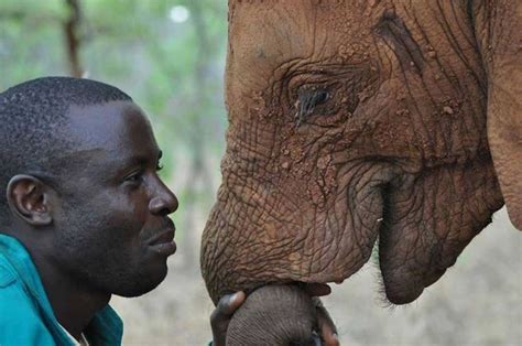 Beautiful Photo Reveals The Undeniable Connection Between Humans And