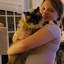 To learn about available adoption events please. Fredericksburg, Virginia - Ragdoll. Meet Bailey, a for ...