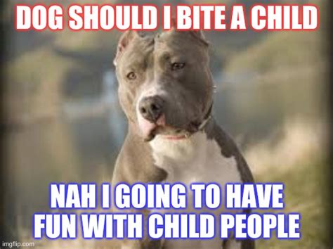 Pitbull Dog Imgflip
