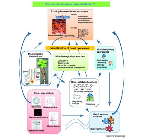 Laboratory research aimed at closing the gaps in microbial ...
