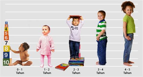 Anak adalah generasi penerus bangsa yang layak untuk mendapatkan perhatian dan kasih sayang. Tahap Pertumbuhan dan Perkembangan Anak Usia Dini Sejak ...