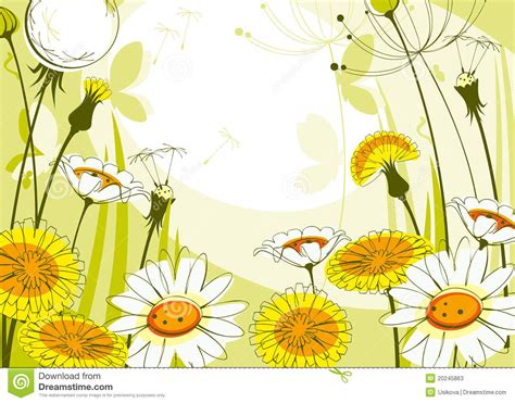 Daisies And Dandelions Stock Vector Illustration Of Beautiful 20245863