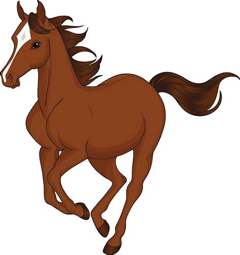 Best Brown Horse Running Fast Illustrations Royalty Free