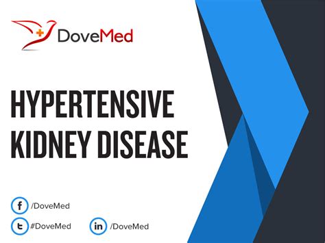 Hypertensive Kidney Disease