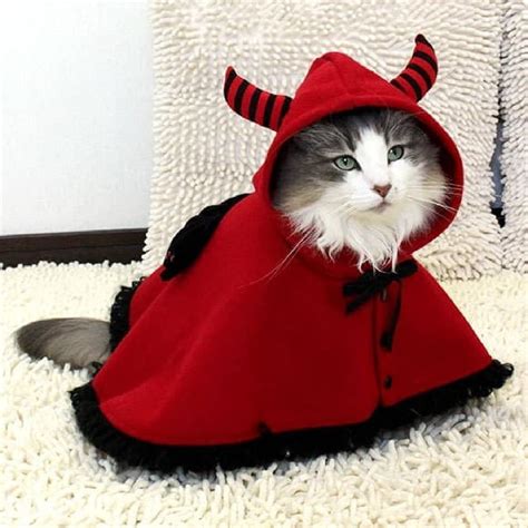 Even Cats Are Dressed For Halloween Costumes By Happy Nyaro Vienna