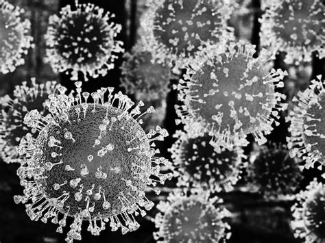 Coronavirus 2019ncov Es Una Nueva Mutación De Coronavirus Un Brote De