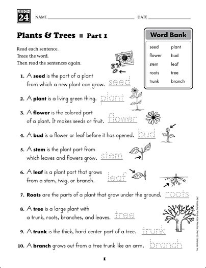 Flower Parts And Functions Worksheet Pdf Best Flower Site