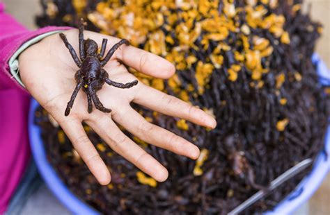 Cambodian cuisine may not be as universally popular as the food from neighbouring thailand or vietnam, but it's well worth diving into because there is a whole world of flavours, and delicacies, that are waiting to be tried. Top 6 Southeast Asia's Weirdest Street Foods | Detoured Asia