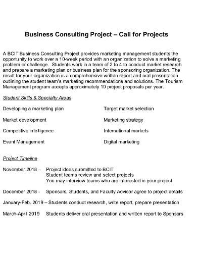 12 Consulting Project Plan Templates In Pdf Xls