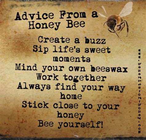 25 Bee Quotes That Set You Thinking About Life