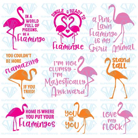 Flamingo Cup Flamingo Craft Flamingo Party Pink Flamingos Silhouette Curio Silhouette Files
