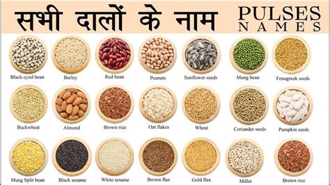 pulses names in english and hindi with pictures dalo ke naam hindi mein cooking for