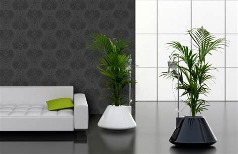 Las plantas de interior son un buen recurso para decorar y para renovar el aire del ambiente. Plantas de interior para decorar el hogar | Decoora