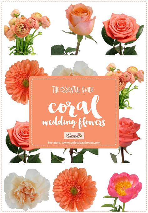 Knowing more about which types of flowers work best with weddings will help you avoid making a costly mistake that you'll regret later on. The Essential Coral Wedding Flowers Guide: Types of Peach ...