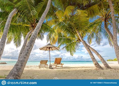 Romantic Beach Scene Chairs Under Palm Trees Tropical