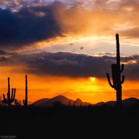 Sunset Sonoran Desert Arizona James Cowlin Photographs
