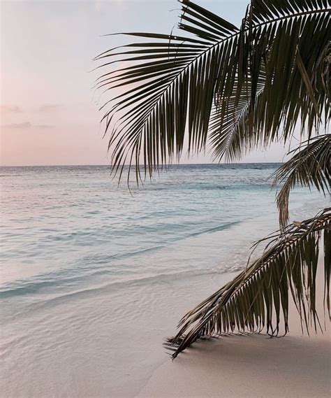 white sand beaches #travel | Beach, Beach aesthetic, Photo