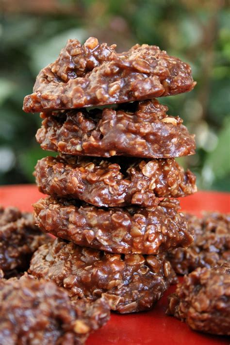 Add egg and vanilla, beating well. My Favorite Things: Chocolate Oatmeal No Bake Cookies from ...