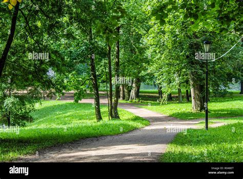 Ruta Parque De Verano Árboles Verdes Caminos De Piedra Caminar En El