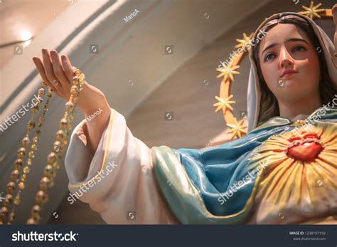 4 277 virgin mary with rosary 이미지 스톡 사진 및 벡터 shutterstock