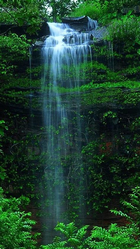 Rock Waterfall From Green Thicket Iphone 5s Wallpaper Download Iphone