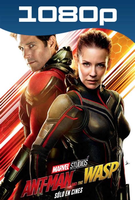 Ant-Man and The Wasp (2018) HD 1080p Latino