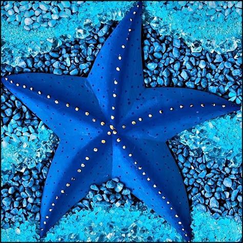 Blue Starfish勾吻采集到水族467图花瓣动物 Starfish Species Ocean Creatures