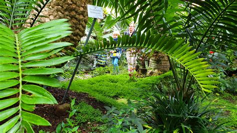 Er wird auf der südseite durch einen geraden und 360 meter langen abschnitt der elisenstraße begrenzt, während er auf den anderen seiten bogenförmig durch die. botanischer_garten_muenchen_cycadeen - Ich spring im Dreieck