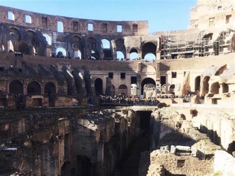 Rome Italy Tour Colosseum Roman Forum And Palatine Hill Private Tour