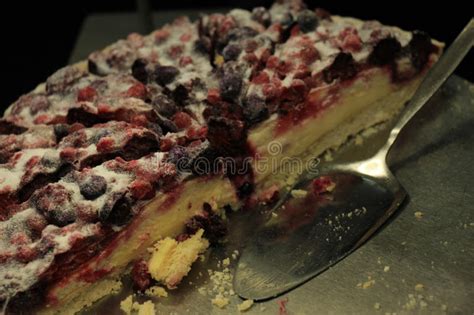 I have tried and enjoyed about a dozen versions, each great, but i wanted to make my own, and it is perfect!. Cheesecake With Forest Fruit Stock Image - Image of ...
